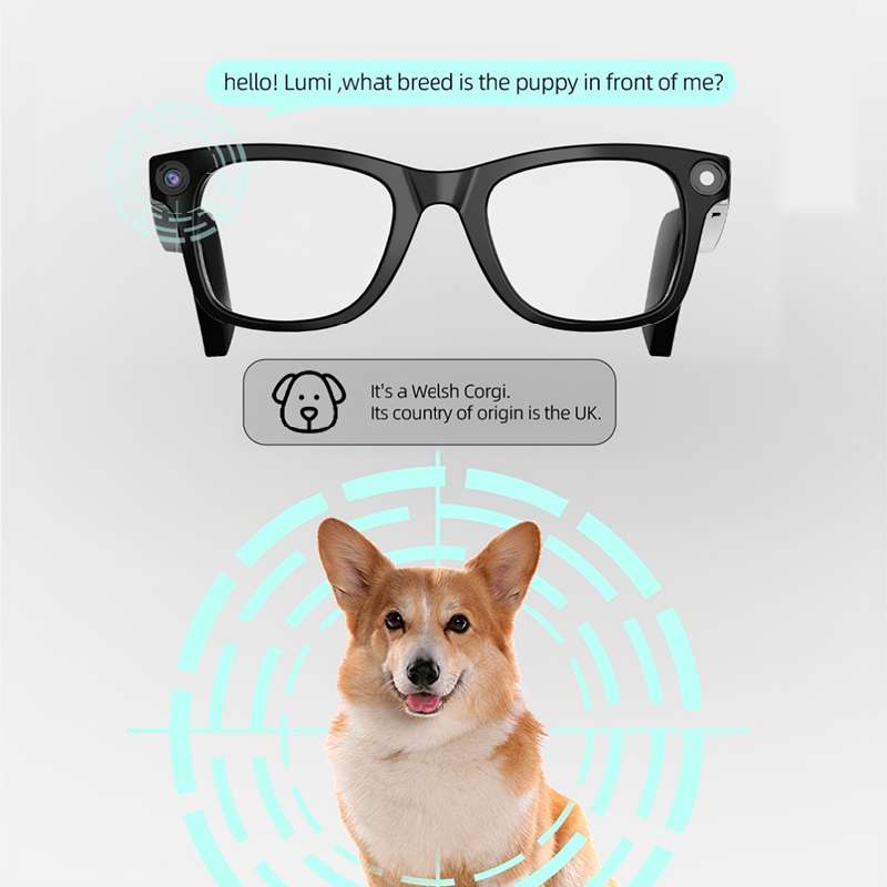 最新の高性能スマートグラス。ブルーライトカット機能、指向性オ - Blue Light Blocking Smart Audio Glasses のレビューと価格